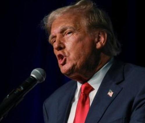 加州特朗普最新爆料消息,揭秘隐藏在幕后的惊人真相